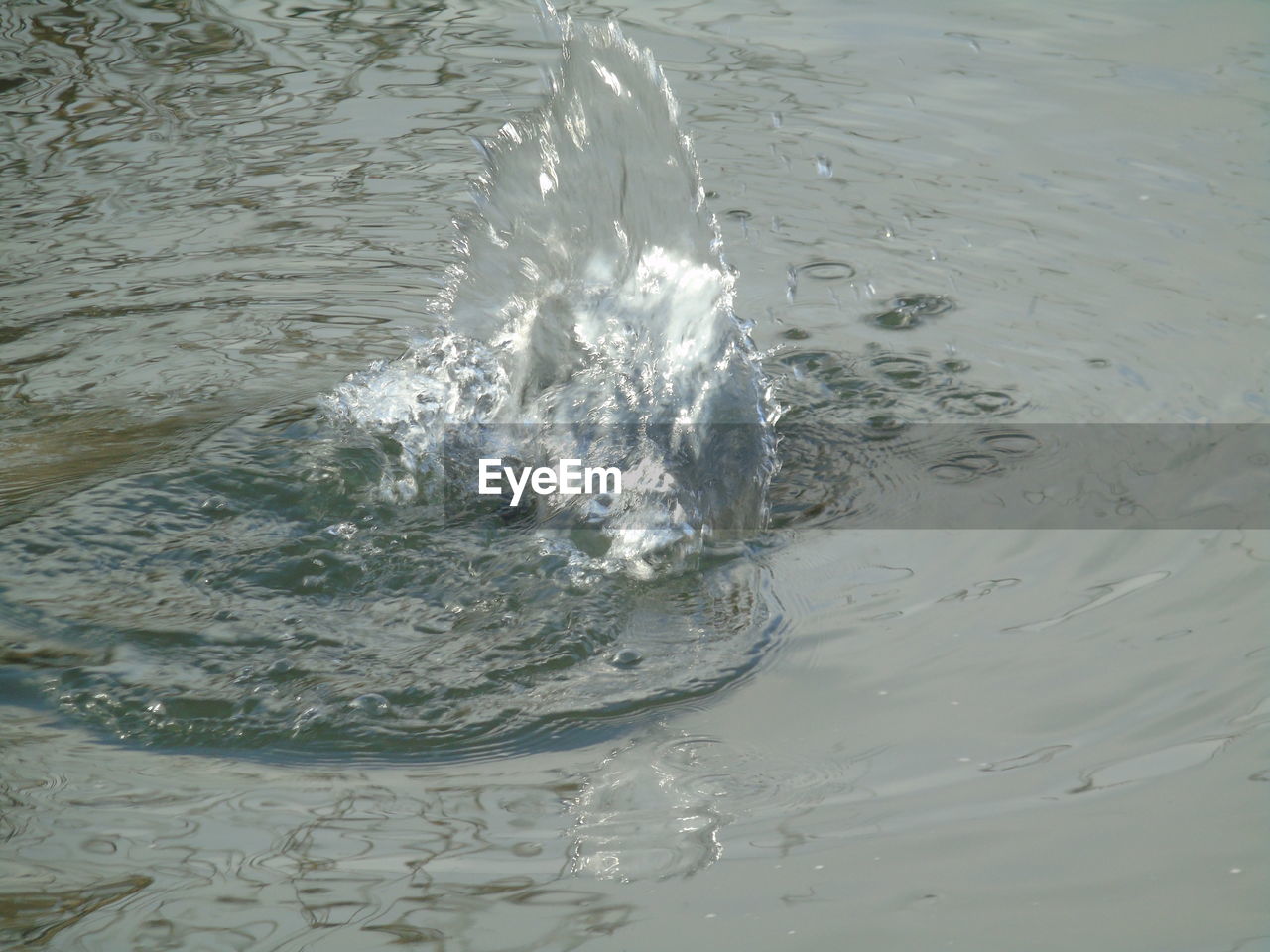 HIGH ANGLE VIEW OF WET RIPPLED WATER