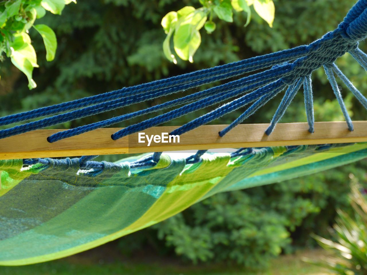 Hammock against plants in back yard