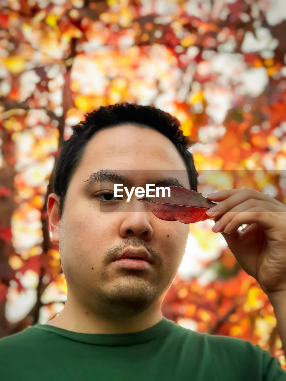 Portrait of young man holding dried red leaf against autumn foliage at sunset.