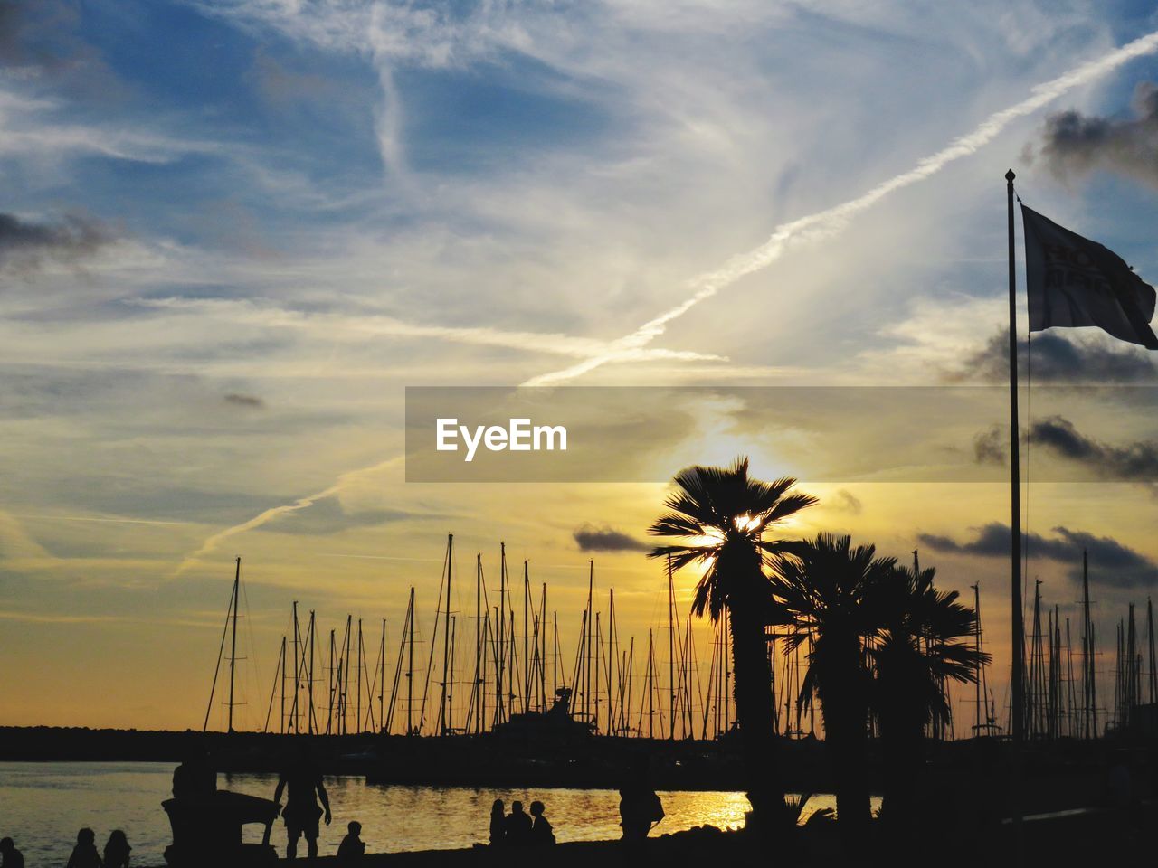 Silhouette palm trees by sea against sky during sunset