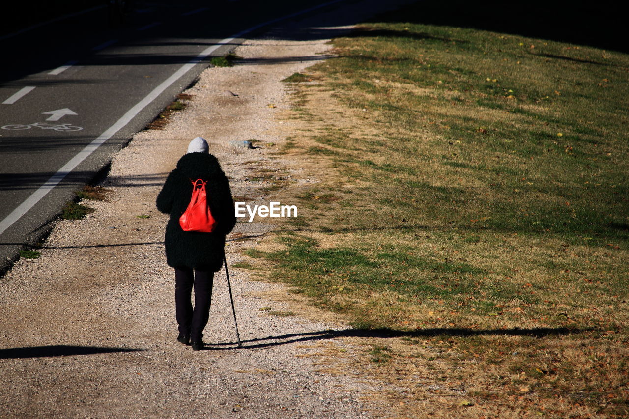 Rear view of person walking at roadside