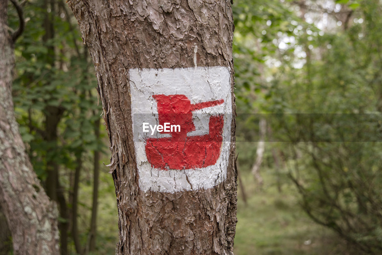 tree, tree trunk, trunk, plant, nature, forest, no people, focus on foreground, red, day, sign, communication, plant bark, heart shape, outdoors, branch, close-up, land, woodland, leaf, emotion, symbol