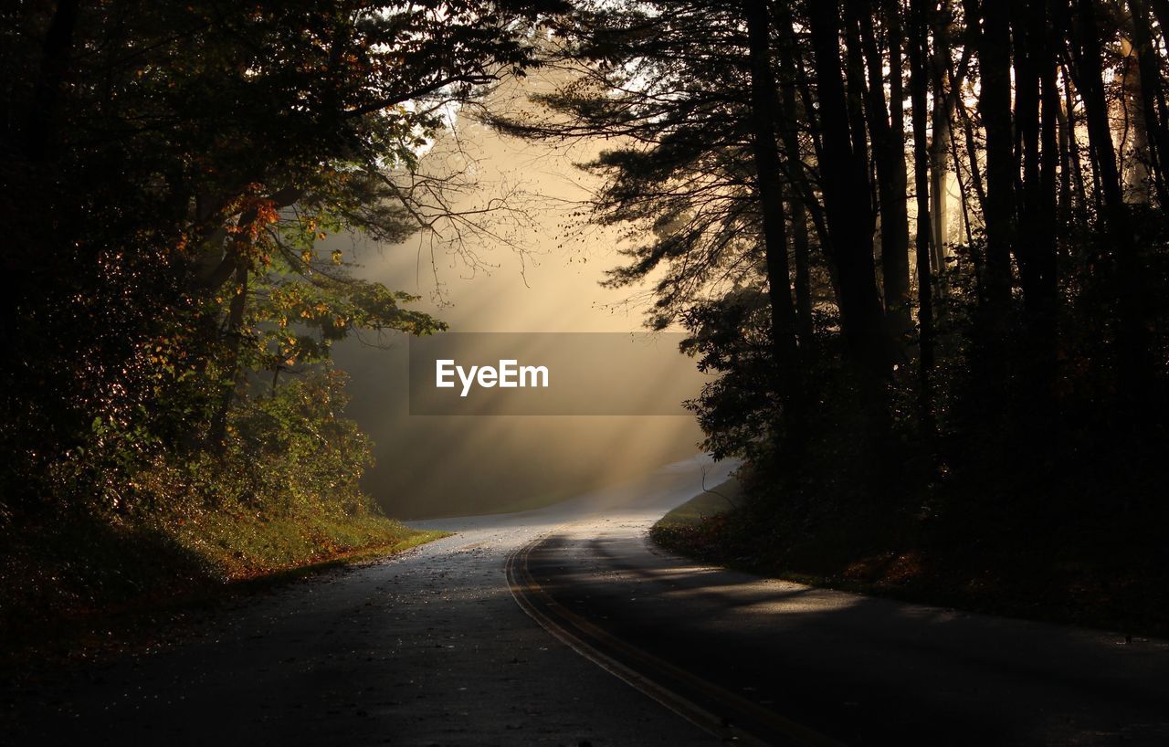 Empty road amidst trees during sunset