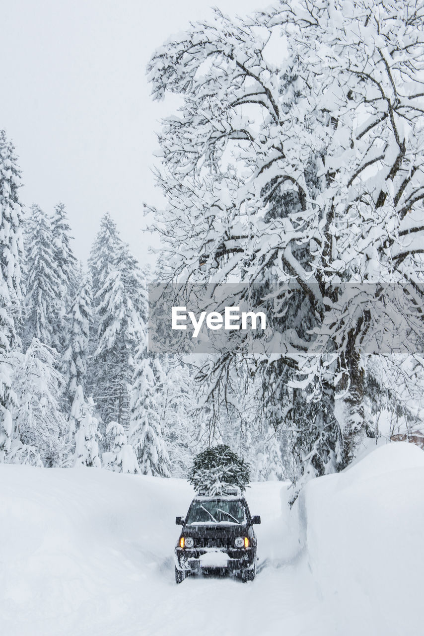Austria, salzburger land, lammertal, car with christmas tree on roof on snowy road