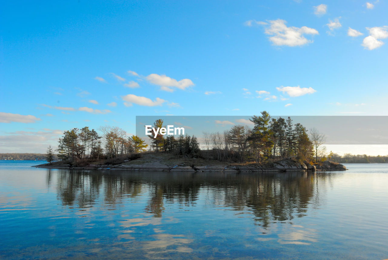 TREES BY LAKE AGAINST BLUE SKY