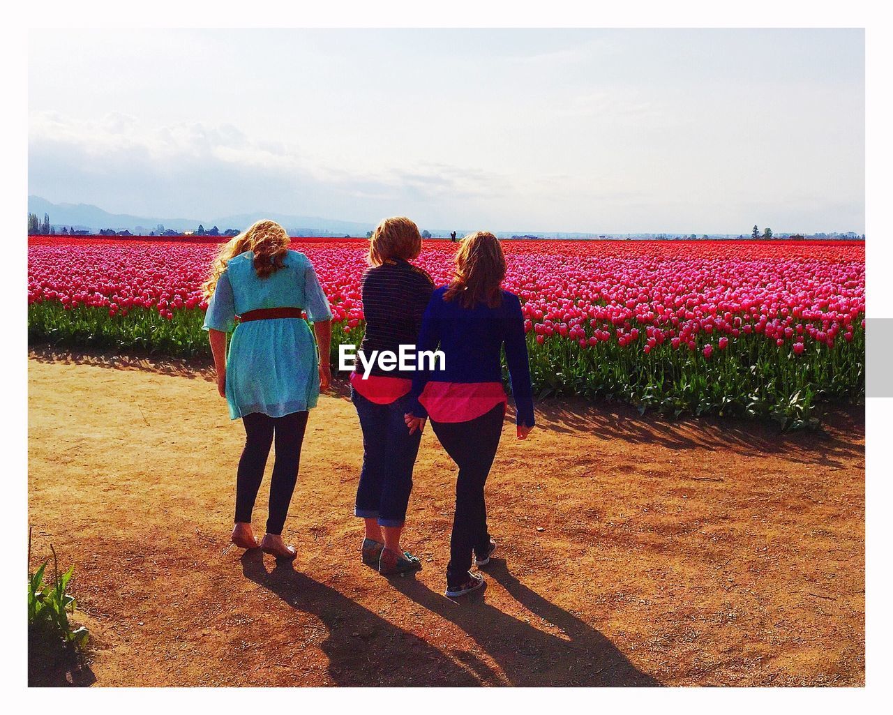 Three women looking at field of tulips