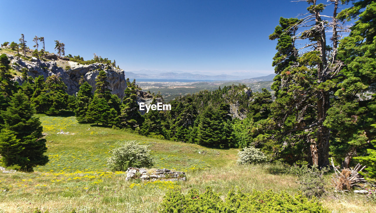 Hiking from dirfi mountain on the island of evia in greece