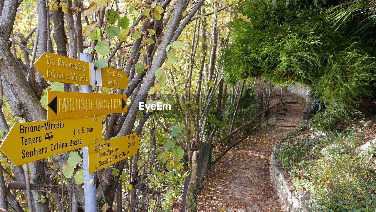 Yellow information sign on footpath in forest