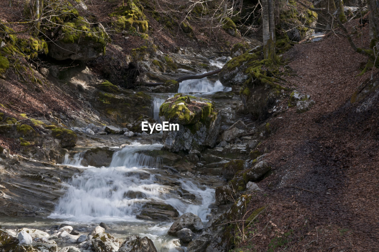 WATER FLOWING THROUGH ROCKS IN FOREST