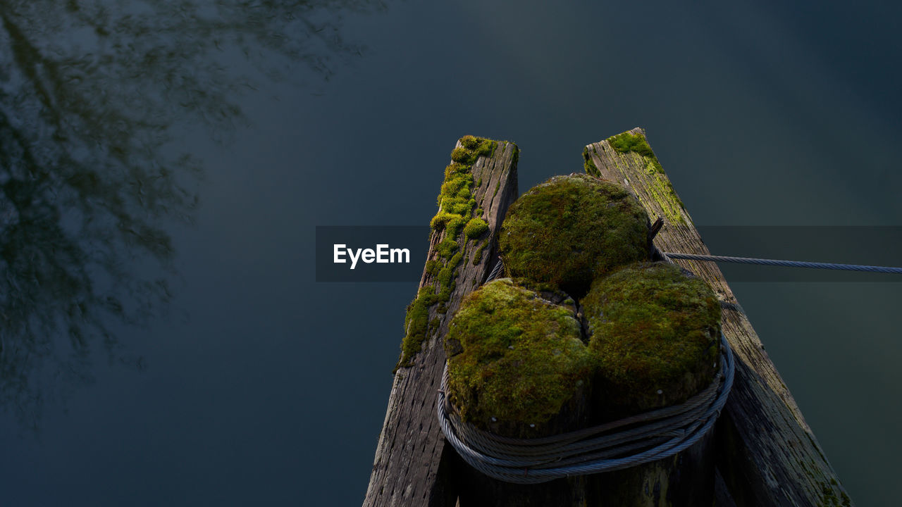I'mage of wooden beams with moss growing on it. anchor for bridge against water.