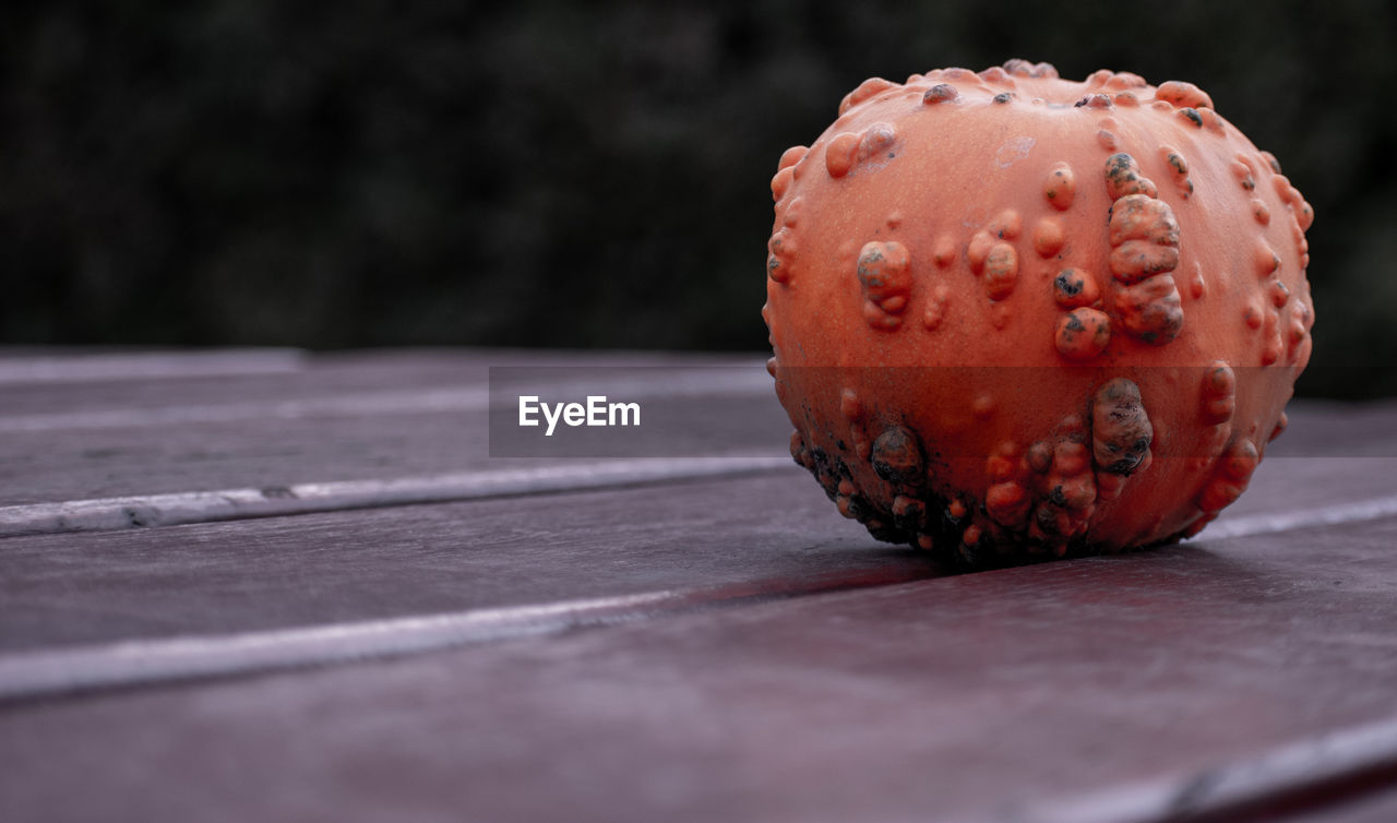 Close-up of pumpkin on table