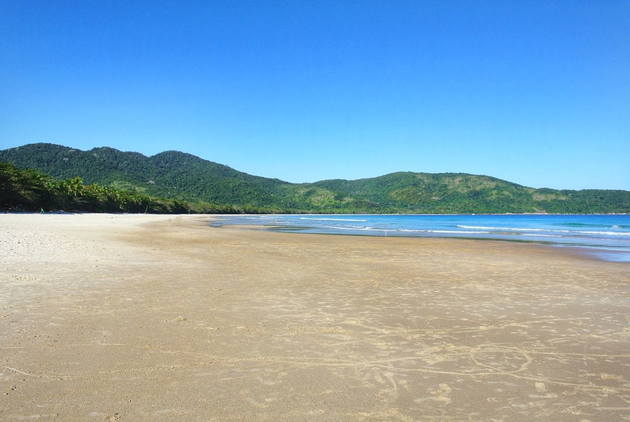 SCENIC VIEW OF BEACH AGAINST BLUE SKY