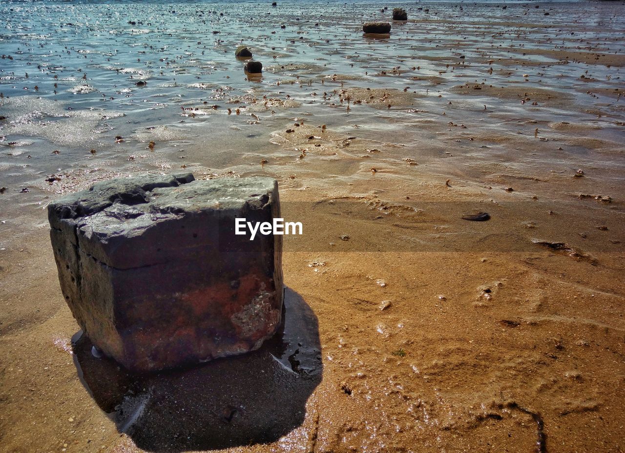 Close-up of sea shore at beach