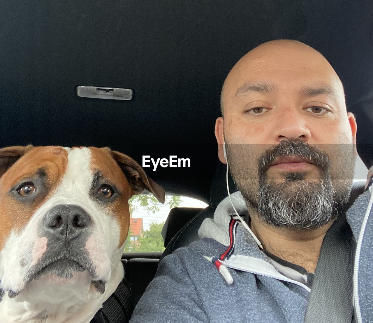 CLOSE-UP PORTRAIT OF A DOG WITH CAMERA