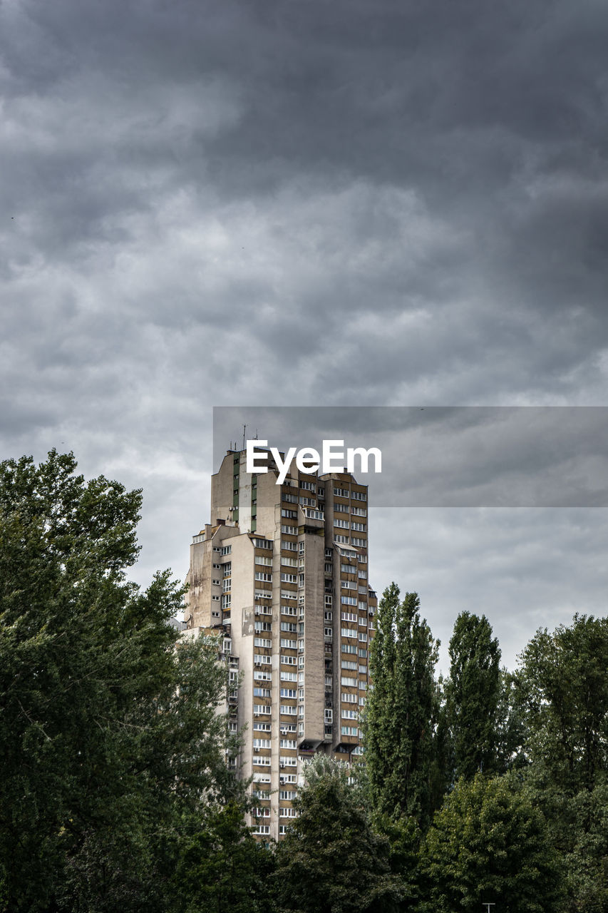 LOW ANGLE VIEW OF TREES AND BUILDINGS AGAINST SKY