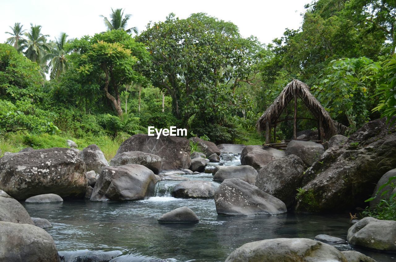 River flowing by rocks in forest