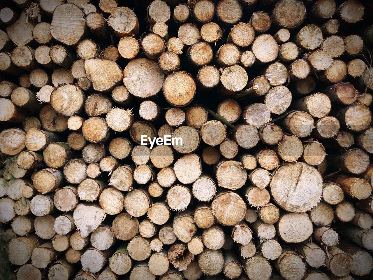 Full frame shot of logs