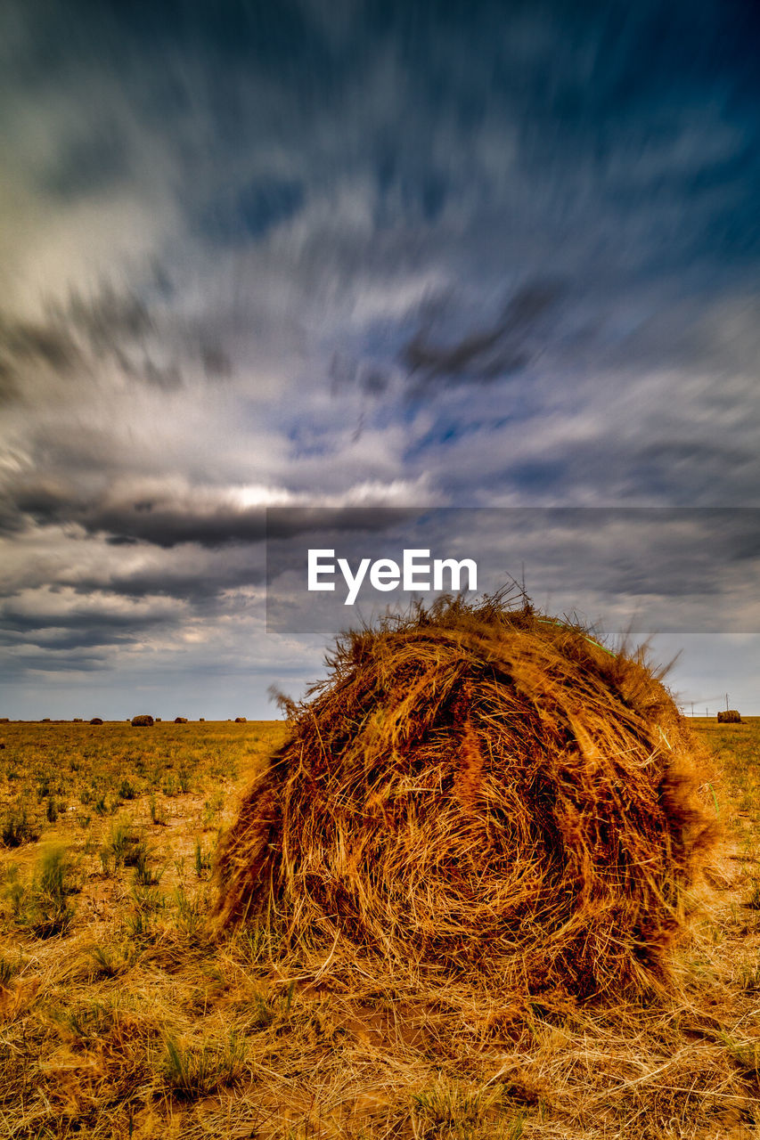 HAY BALES IN FIELD AGAINST CLOUDY SKY