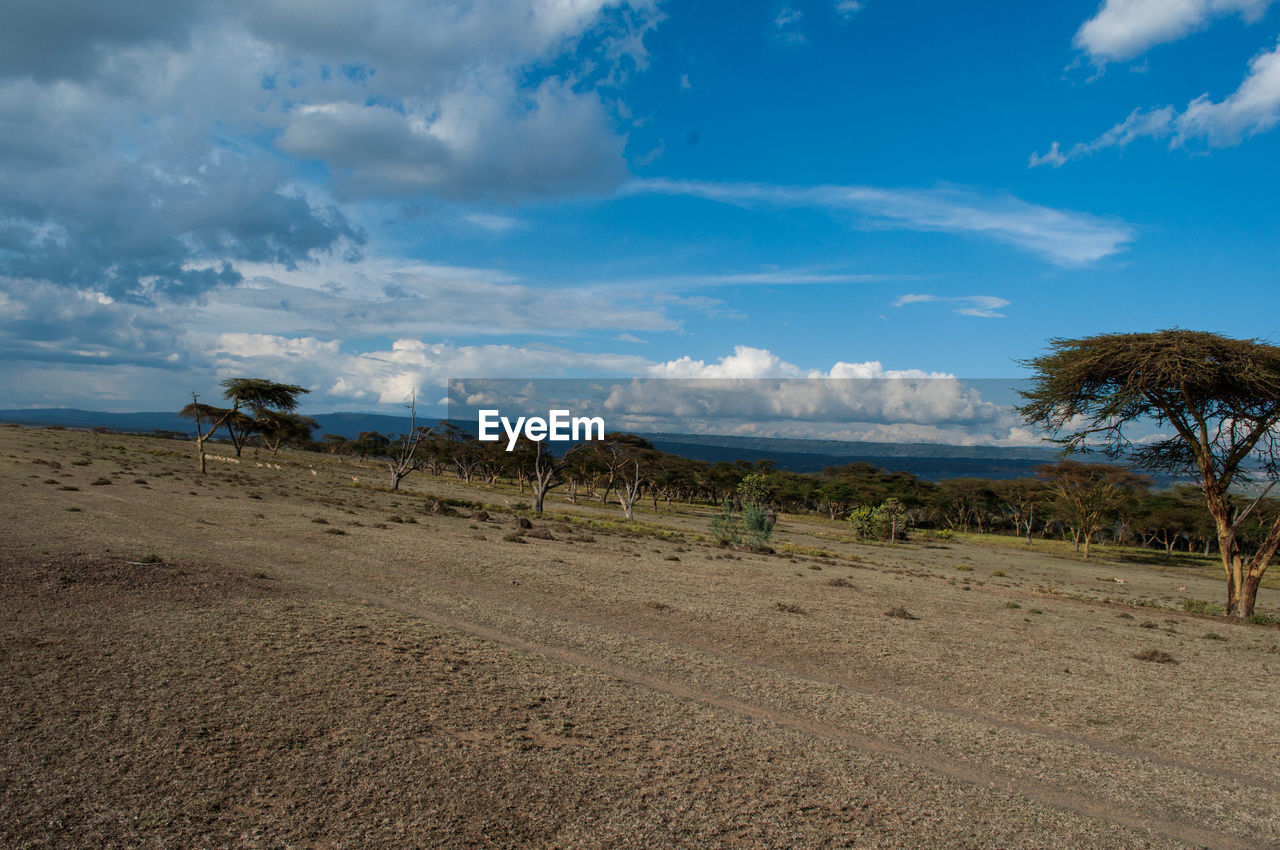 Scenic view of land against sky