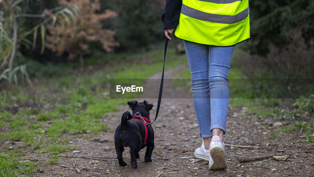 Kennel volunteer walking through the forest to a dog kennel.