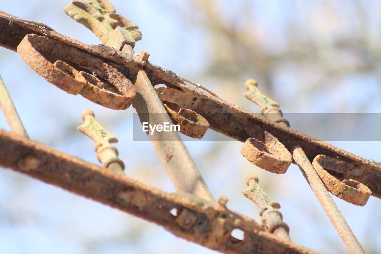 Low angle view of rusty metallic railing