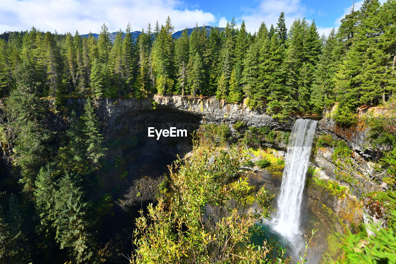 Scenic view of waterfall in forest