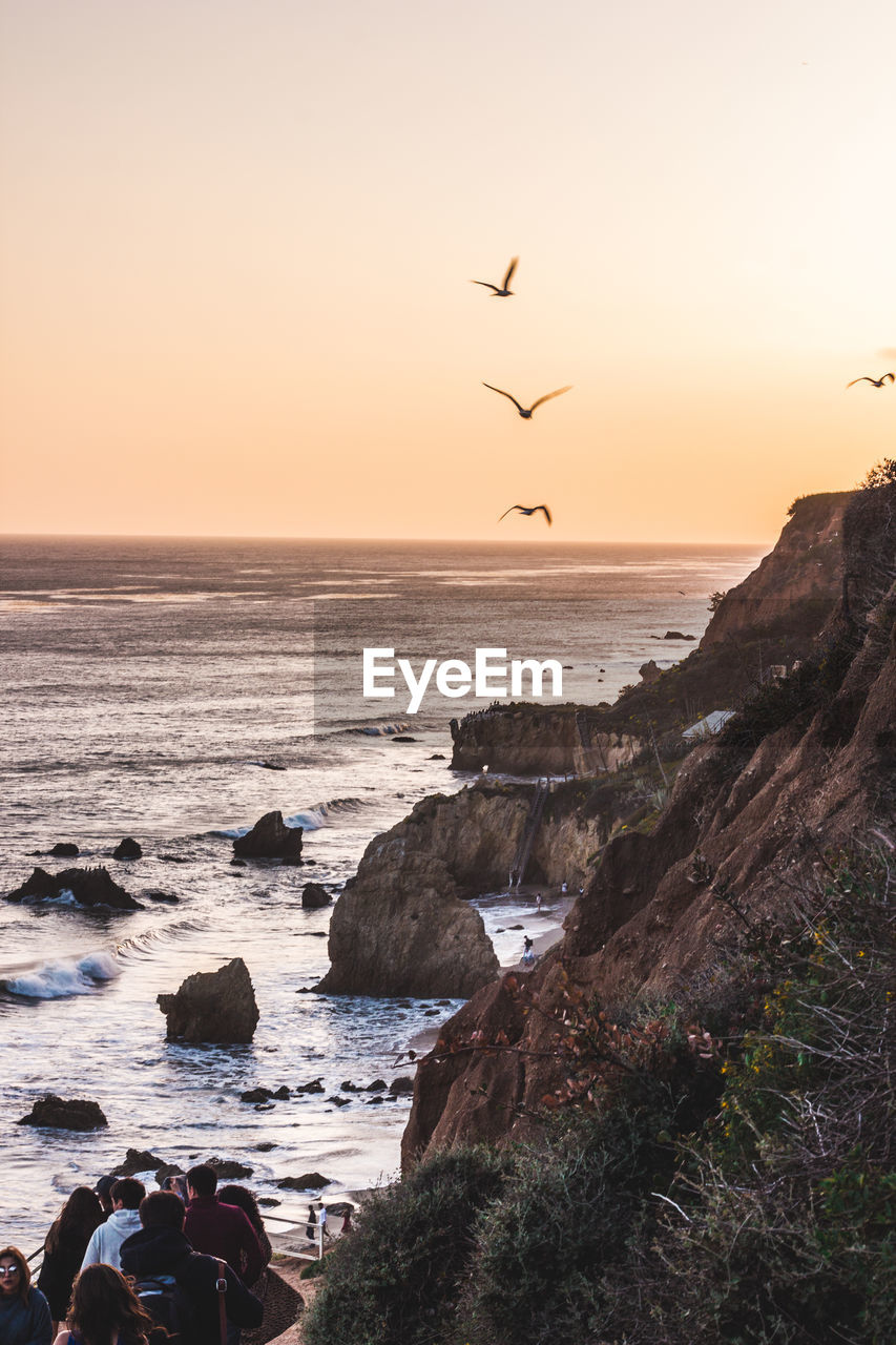 VIEW OF BIRDS FLYING OVER SEA