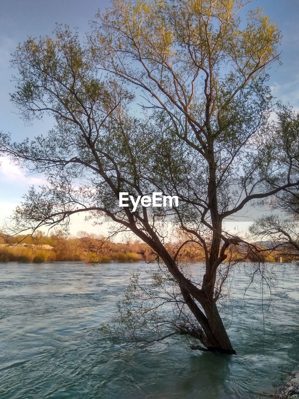 SCENIC VIEW OF RIVER AGAINST SKY