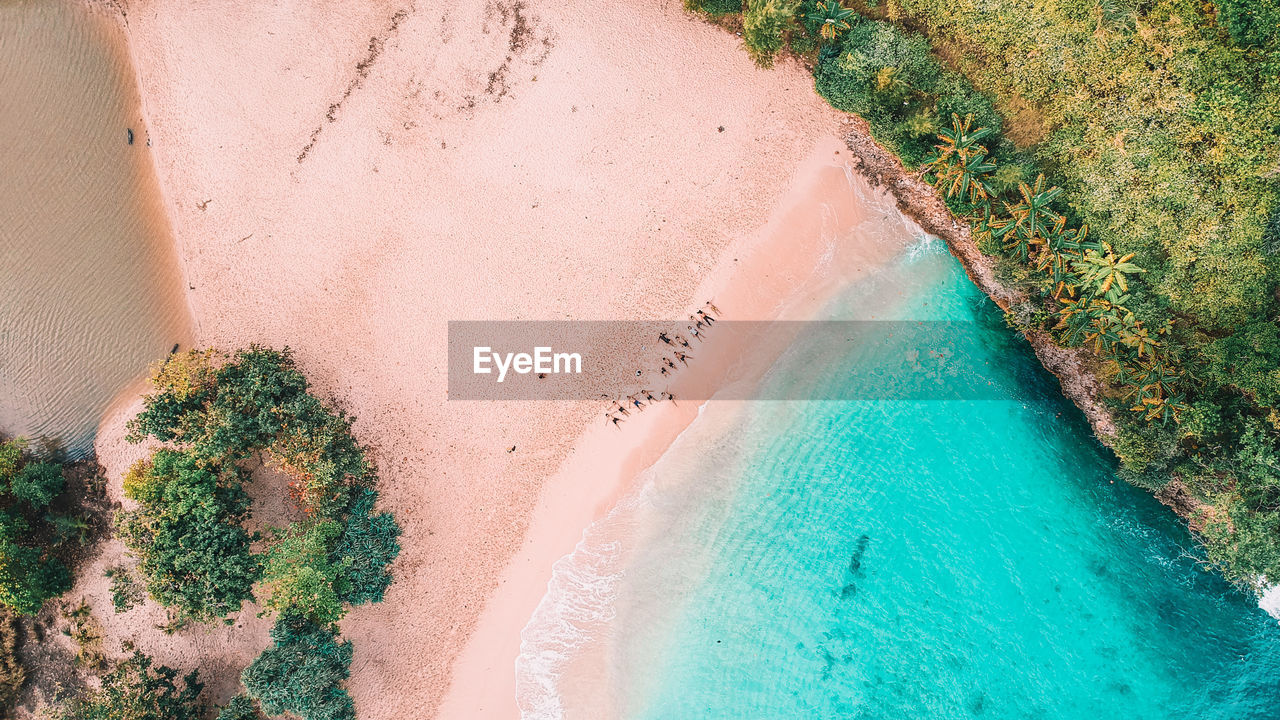 High angle view of plants by sea