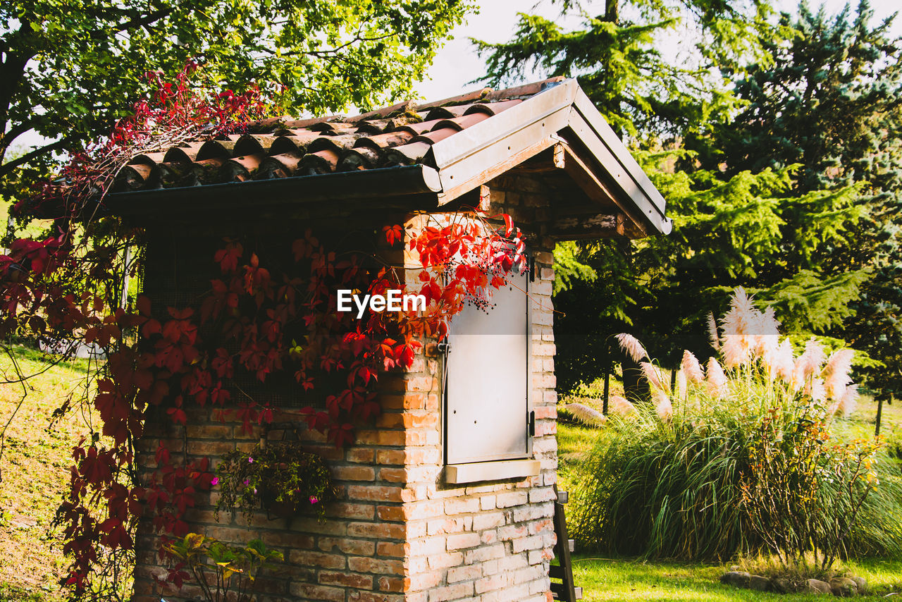 BUILT STRUCTURE BY BUILDING AND TREE