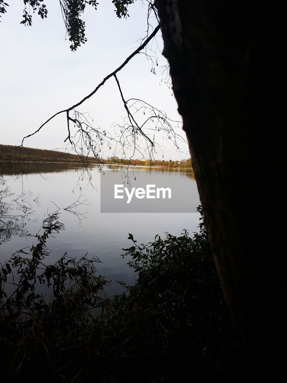 SCENIC VIEW OF LAKE BY TREE AGAINST SKY