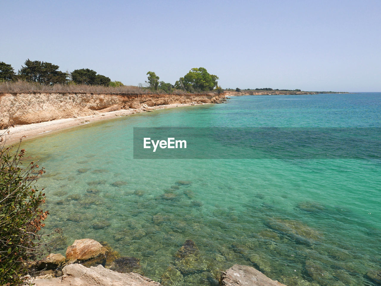 SCENIC VIEW OF BEACH AGAINST CLEAR SKY