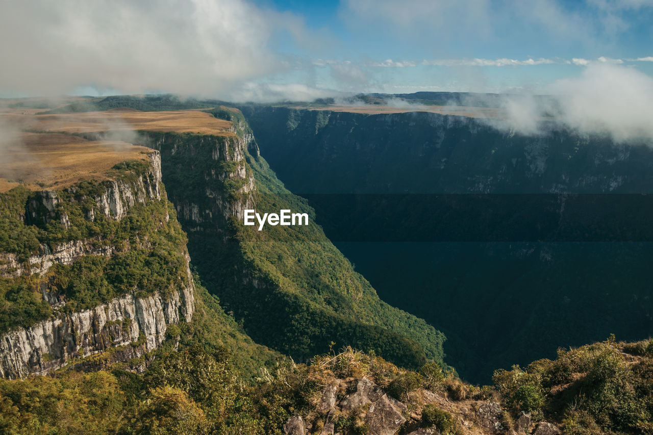 Fortaleza canyon with steep rocky cliffs covered by forest near cambará do sul. brazil.