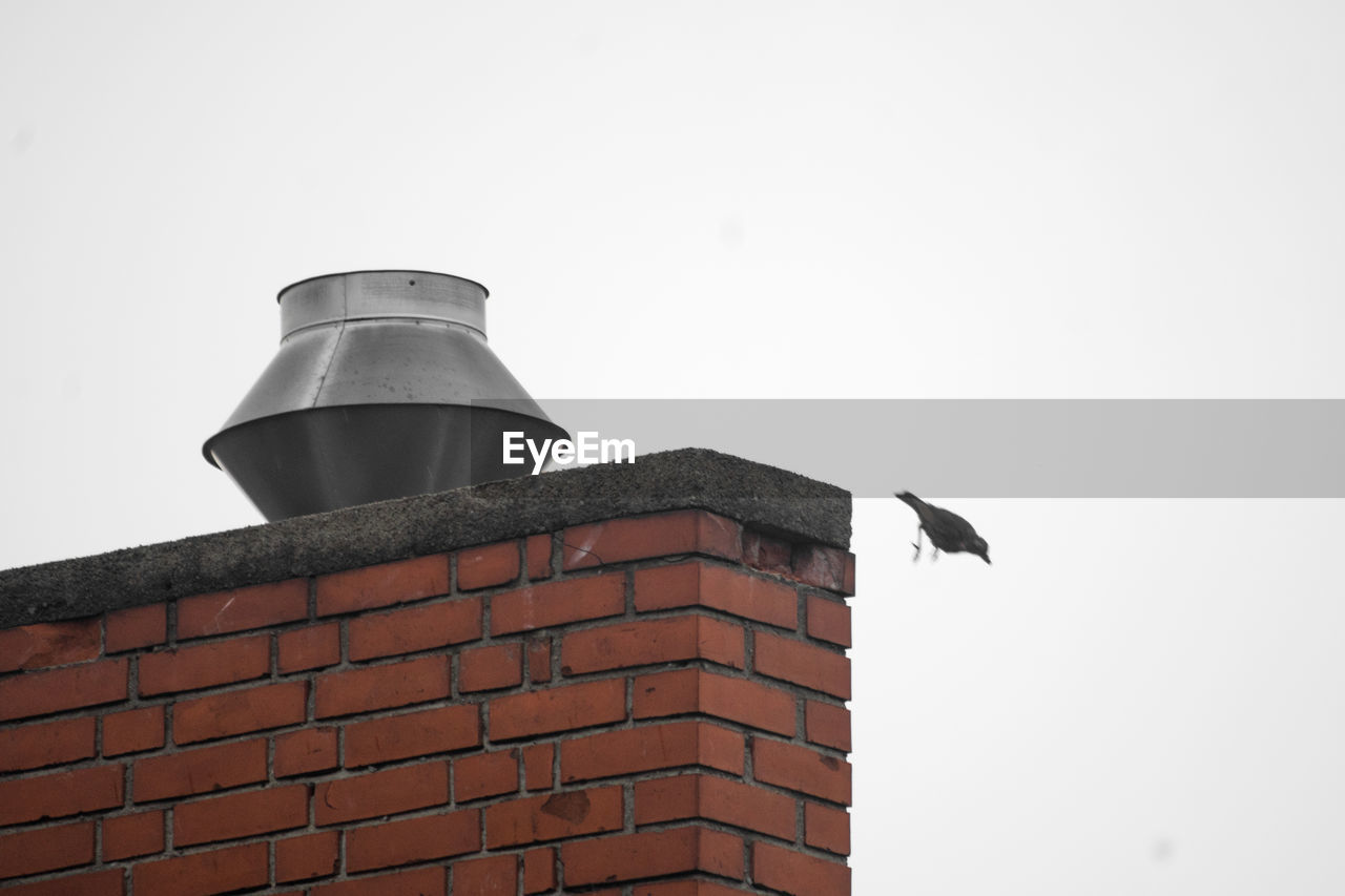 Low angle view of bird taking off by brick wall against clear sky