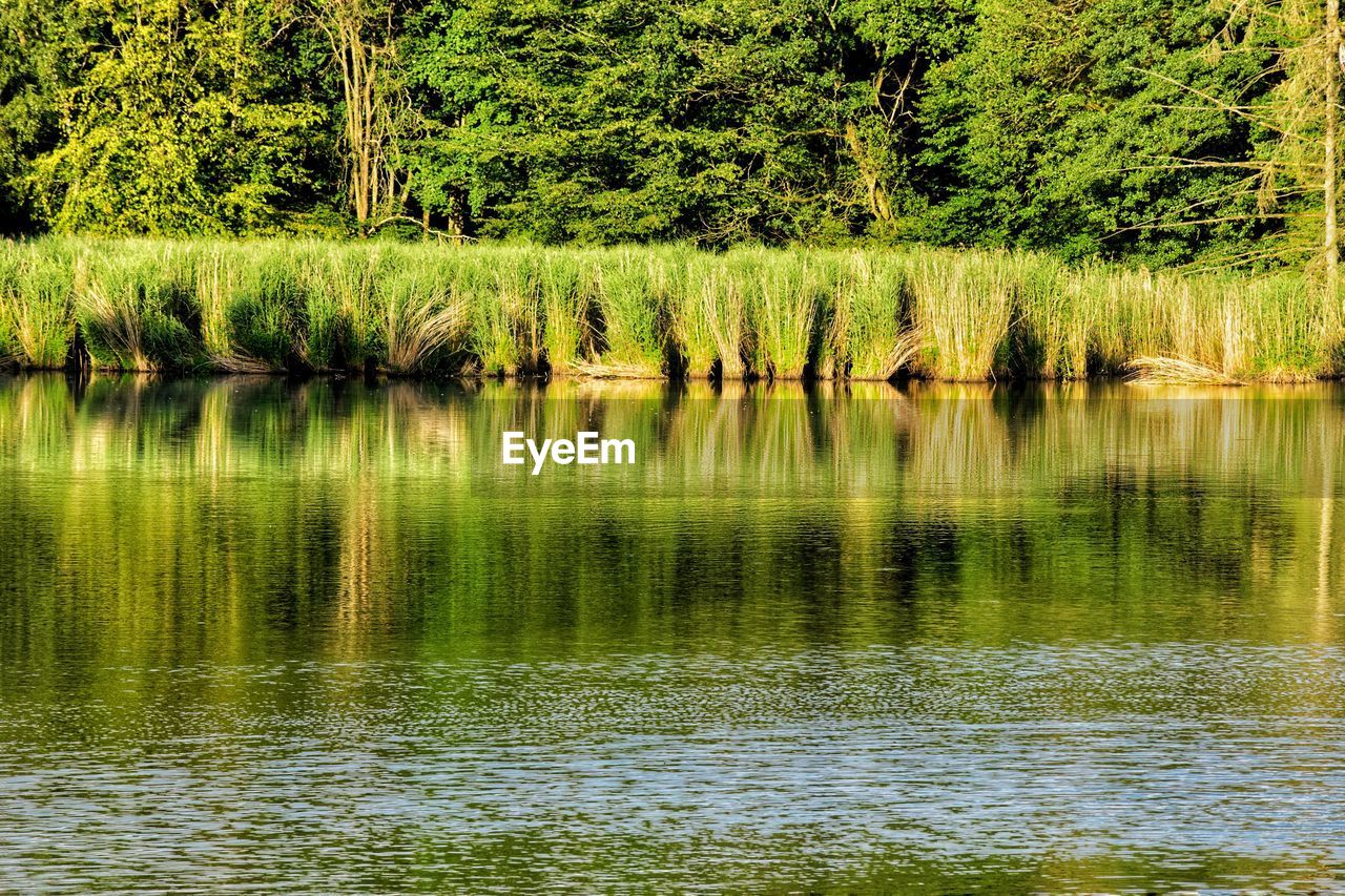 SCENIC VIEW OF LAKE