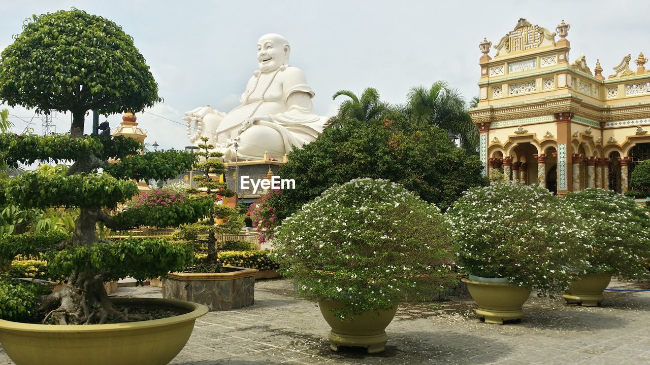 STATUE AMIDST TREES