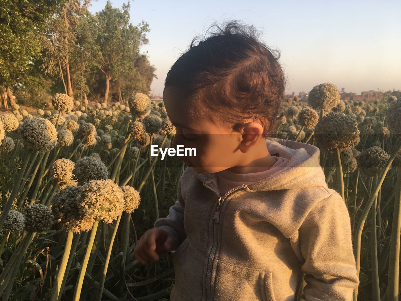 Boy looking away on field