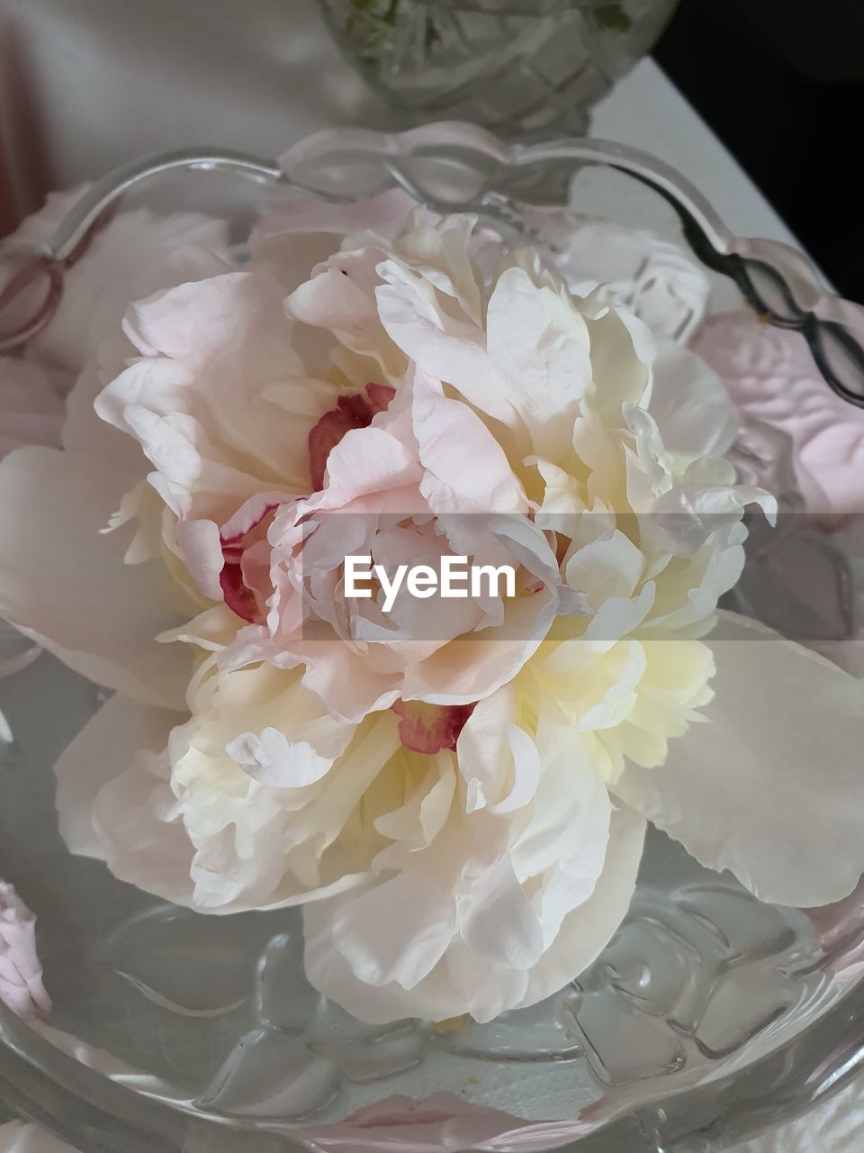 HIGH ANGLE VIEW OF ROSE BOUQUET ON WHITE ROSES