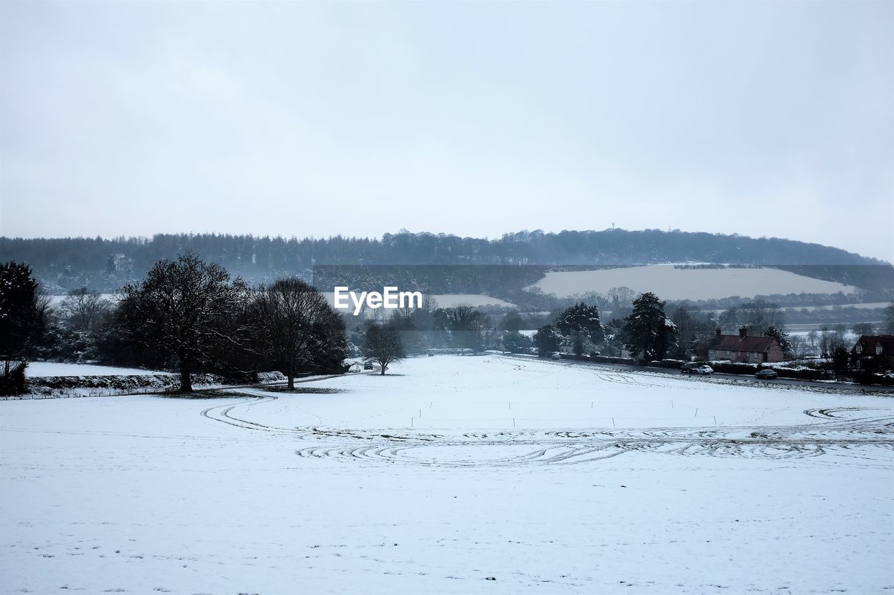 SNOW COVERED LAND AND TREES AGAINST SKY