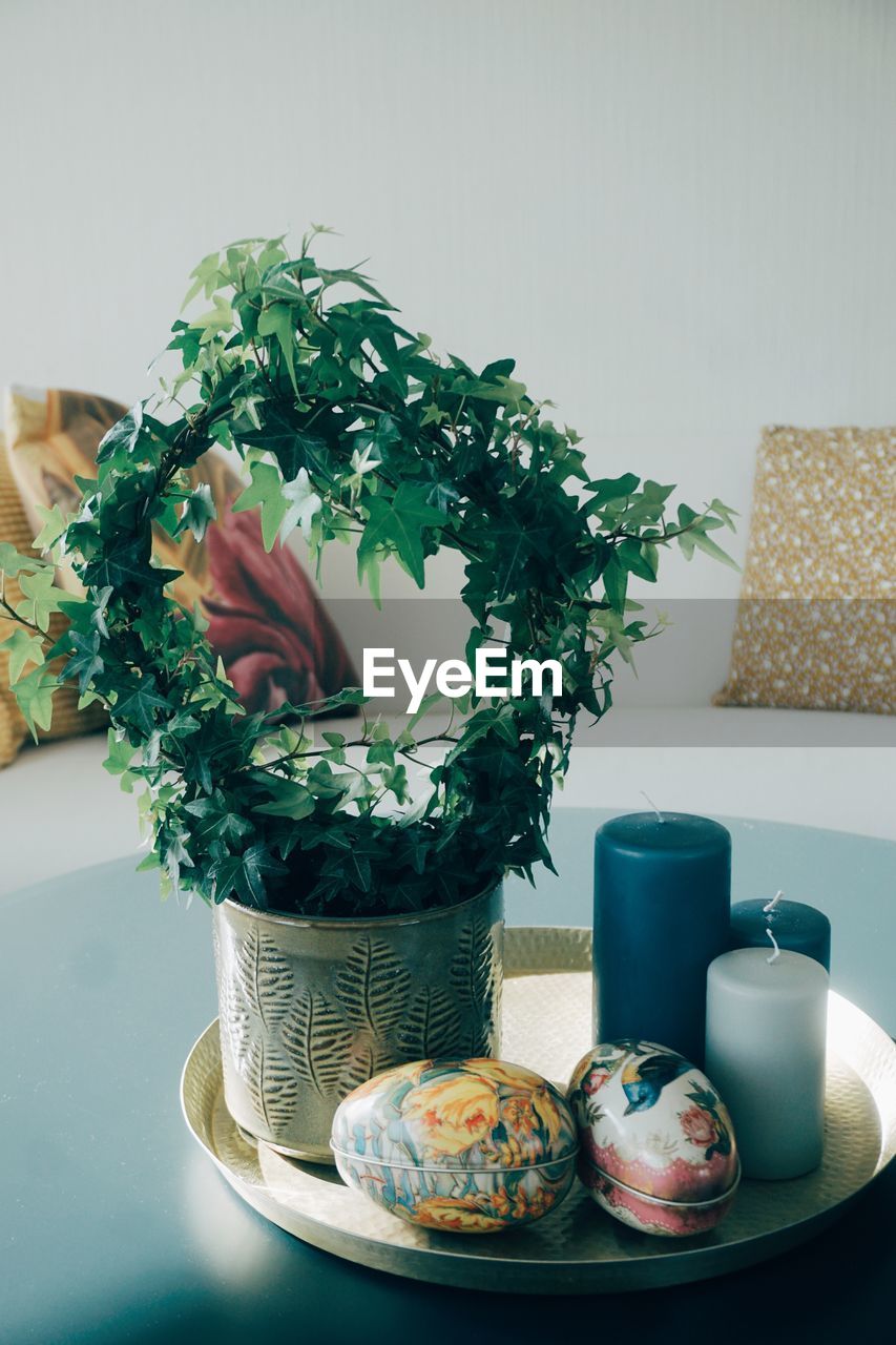 Close-up of potted plant on table