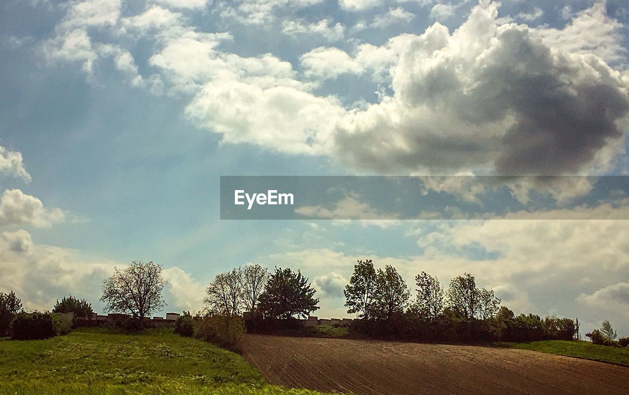 TREES ON FIELD AGAINST CLOUDY SKY