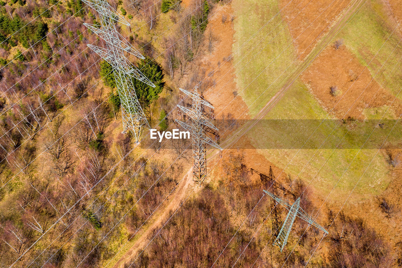 HIGH ANGLE VIEW OF PLANTS ON LAND