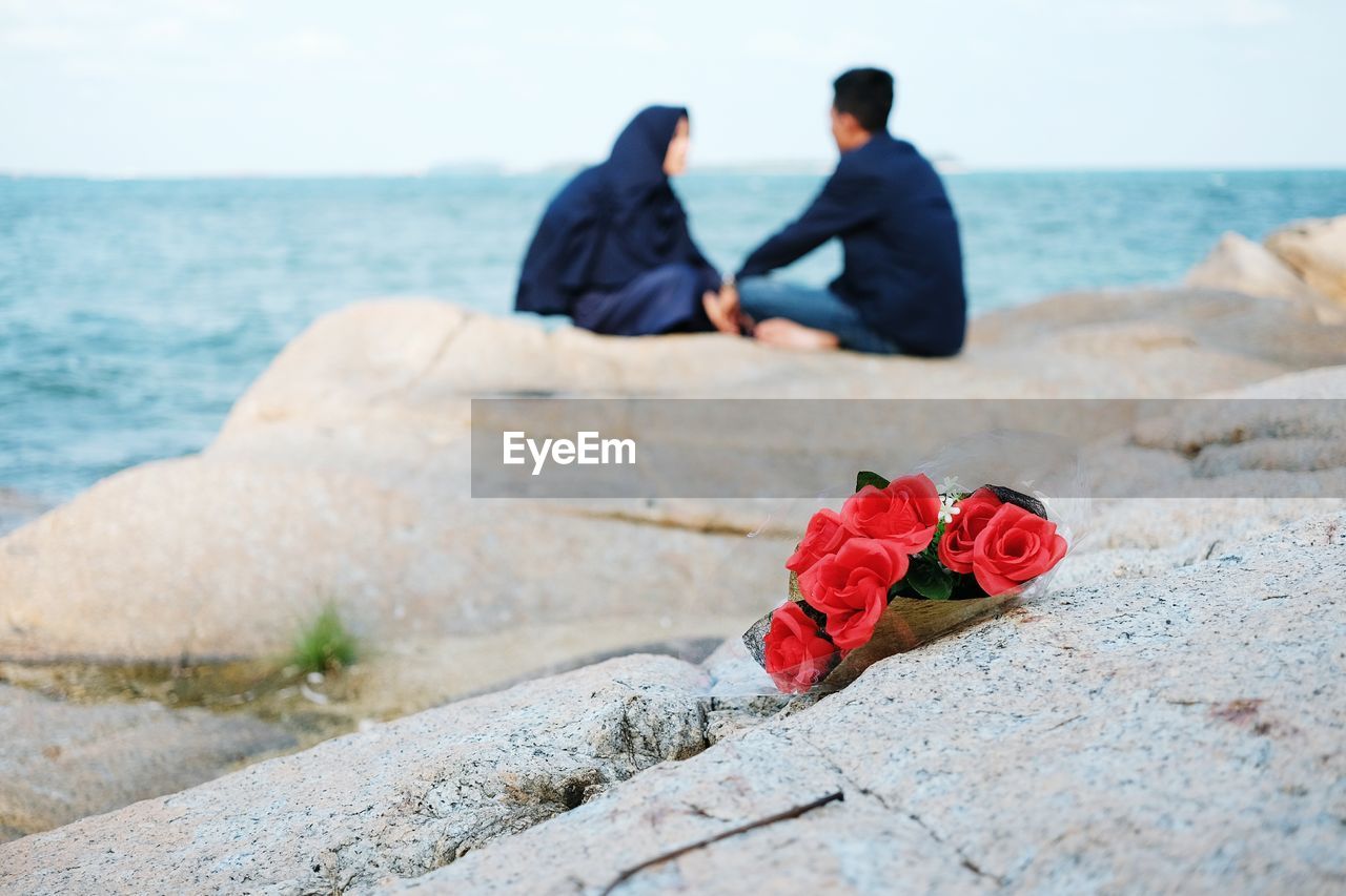 Close-up of roses on rock with couple in background at beach against sky