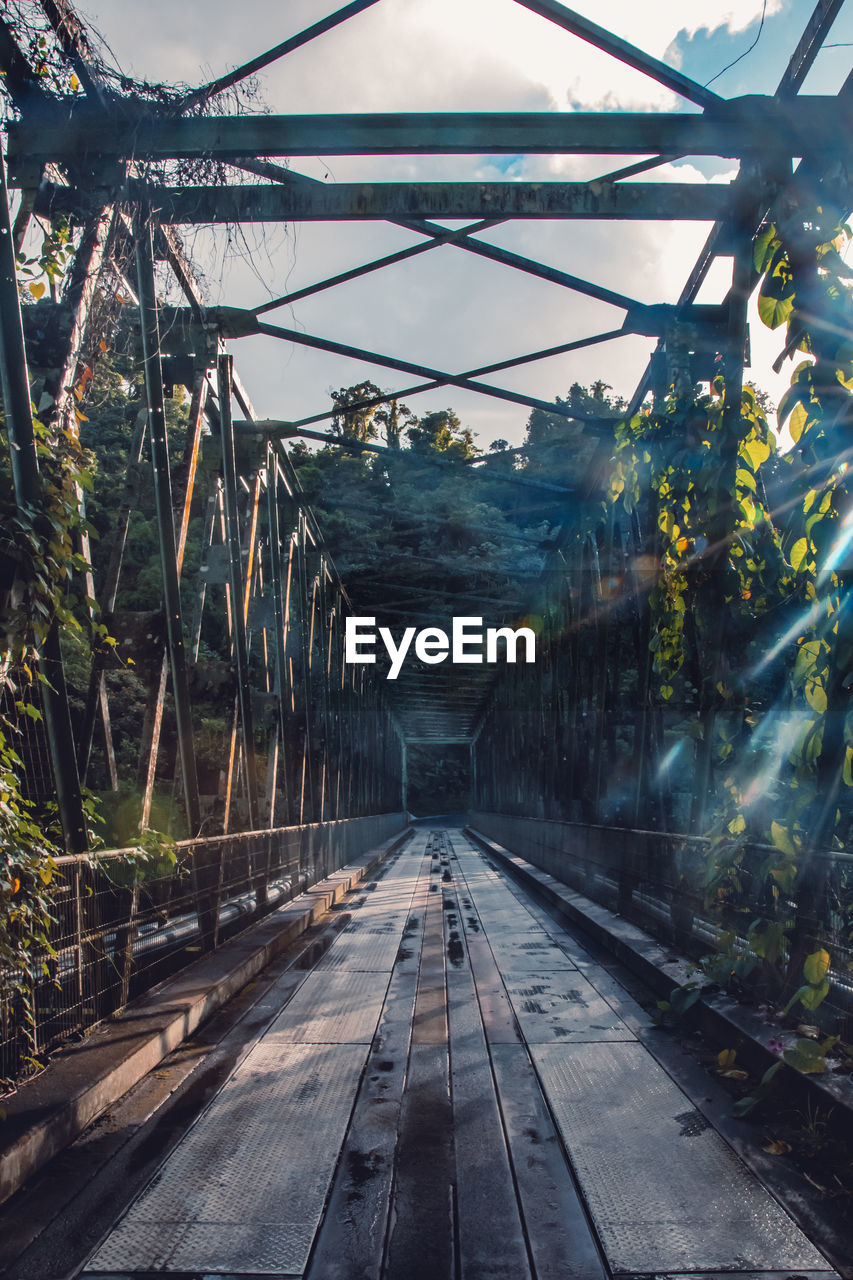 EMPTY FOOTBRIDGE ALONG PLANTS