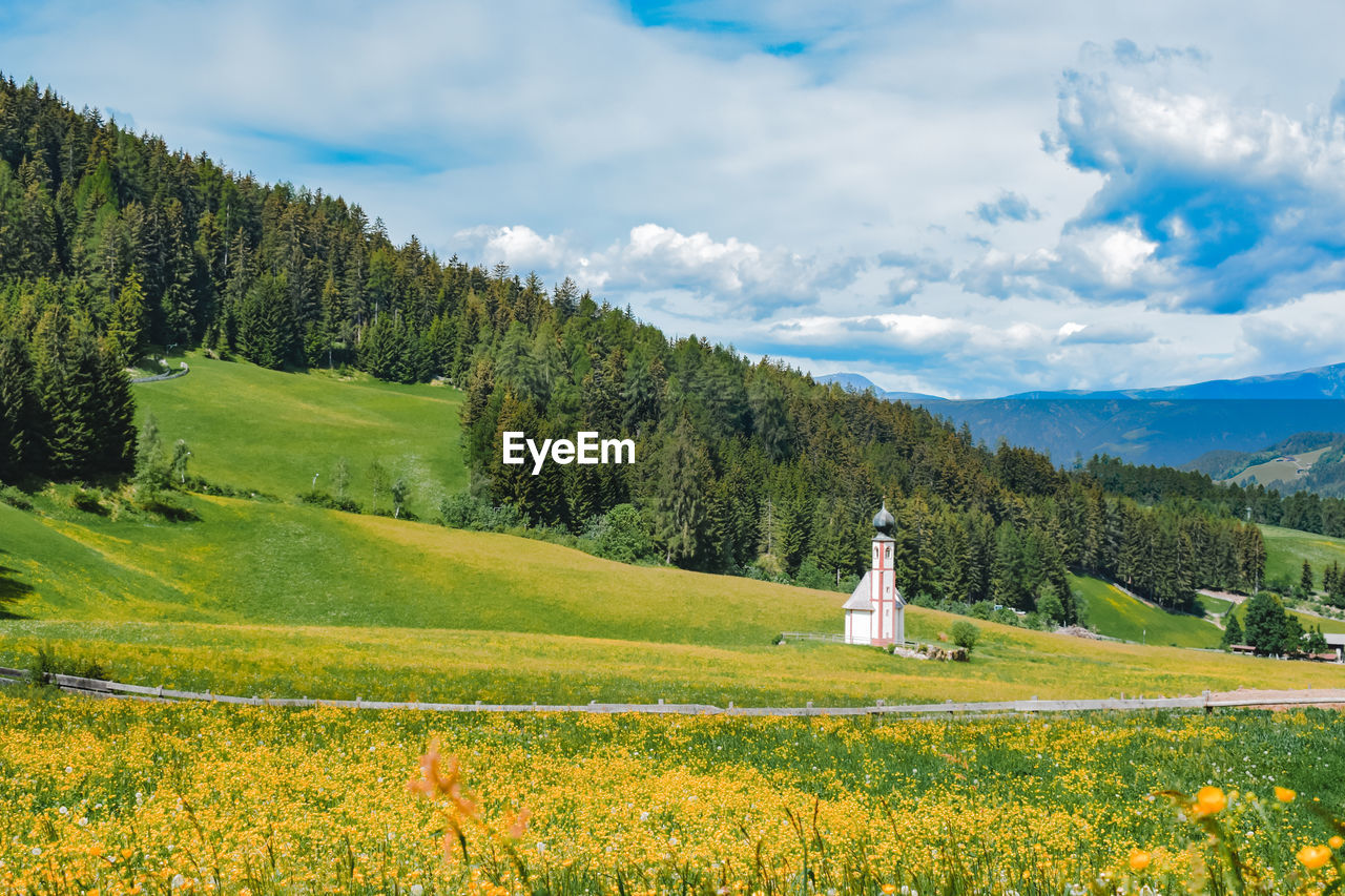 Chapel on a field with buttercups, hills and mountains on background
