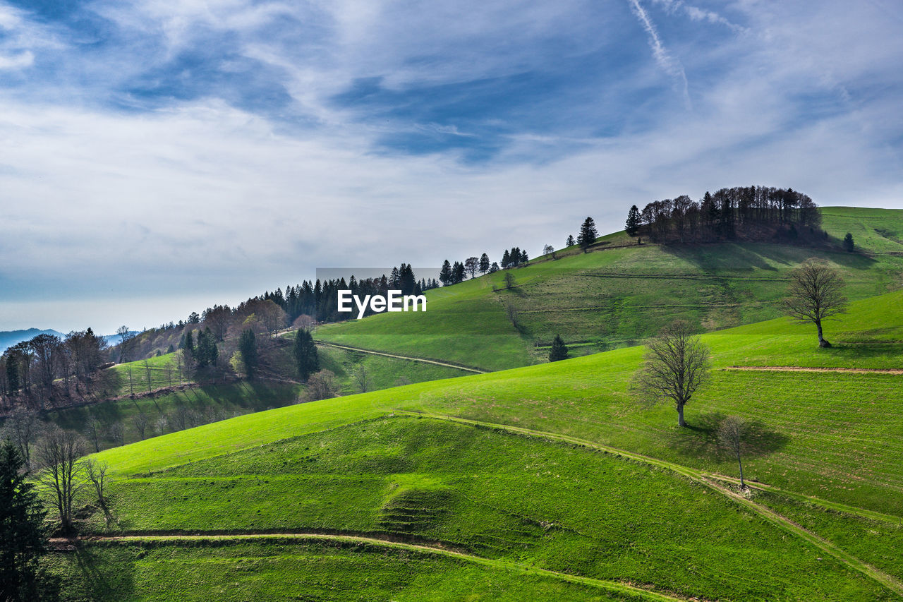 SCENIC VIEW OF GREEN LANDSCAPE AGAINST SKY