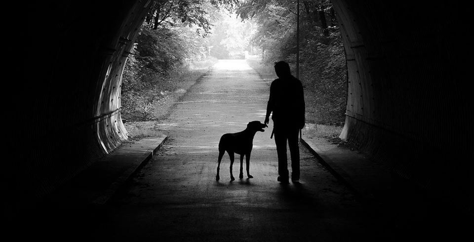 Silhouette man with dog on lonely road