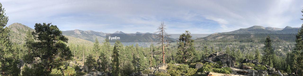 Panoramic view of trees and mountains against sky