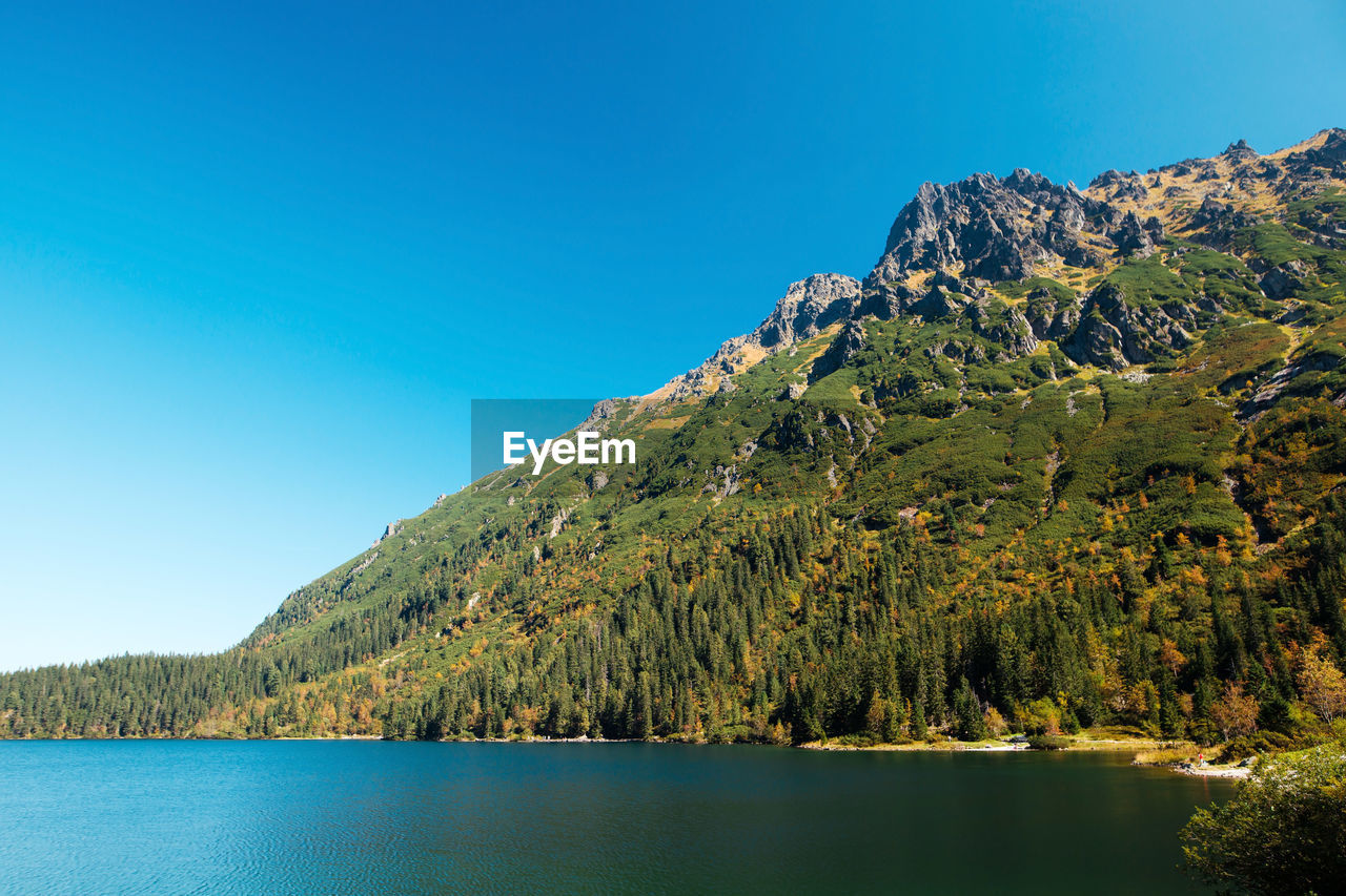 SCENIC VIEW OF LAKE AGAINST CLEAR BLUE SKY