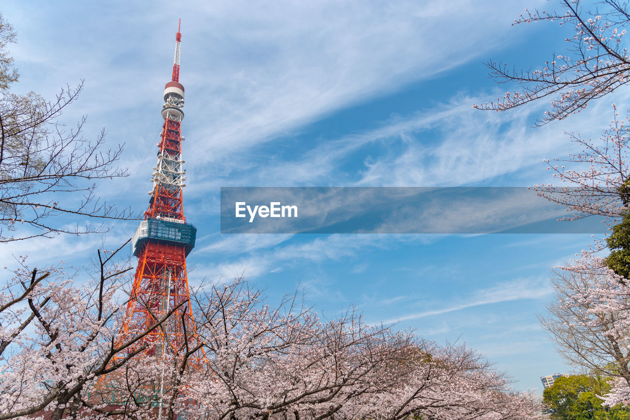 Low angle view of tokyo tower against blue sky during sunny day